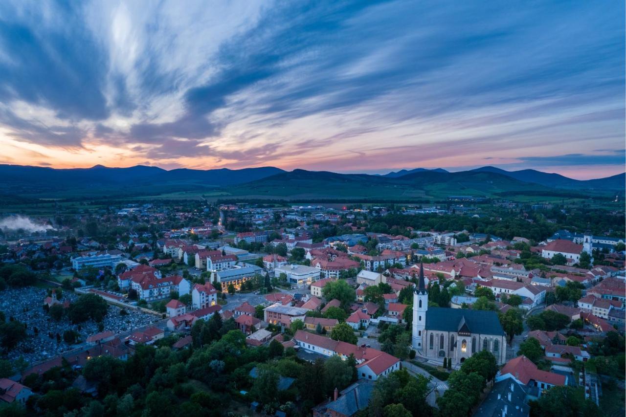 Hotel Bodrog Wellness & Elix Spa Шарошпатак Екстер'єр фото
