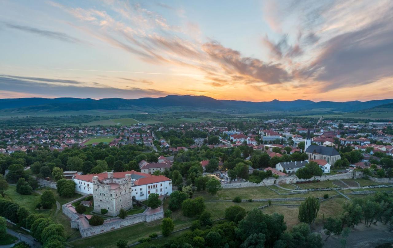 Hotel Bodrog Wellness & Elix Spa Шарошпатак Екстер'єр фото