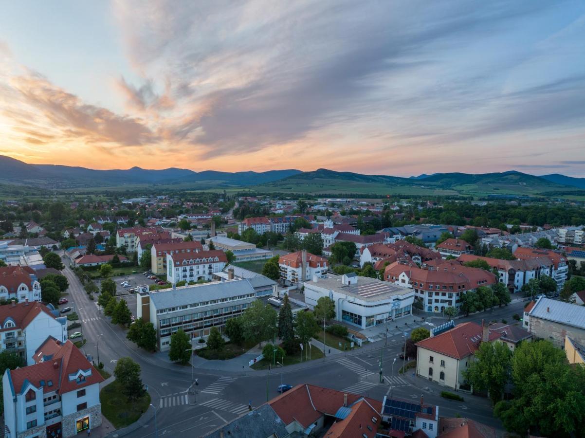 Hotel Bodrog Wellness & Elix Spa Шарошпатак Екстер'єр фото