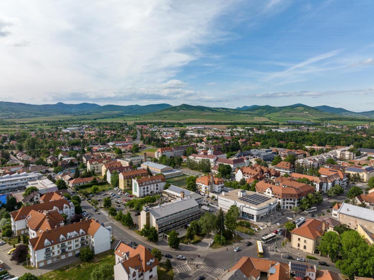 Hotel Bodrog Wellness & Elix Spa Шарошпатак Екстер'єр фото